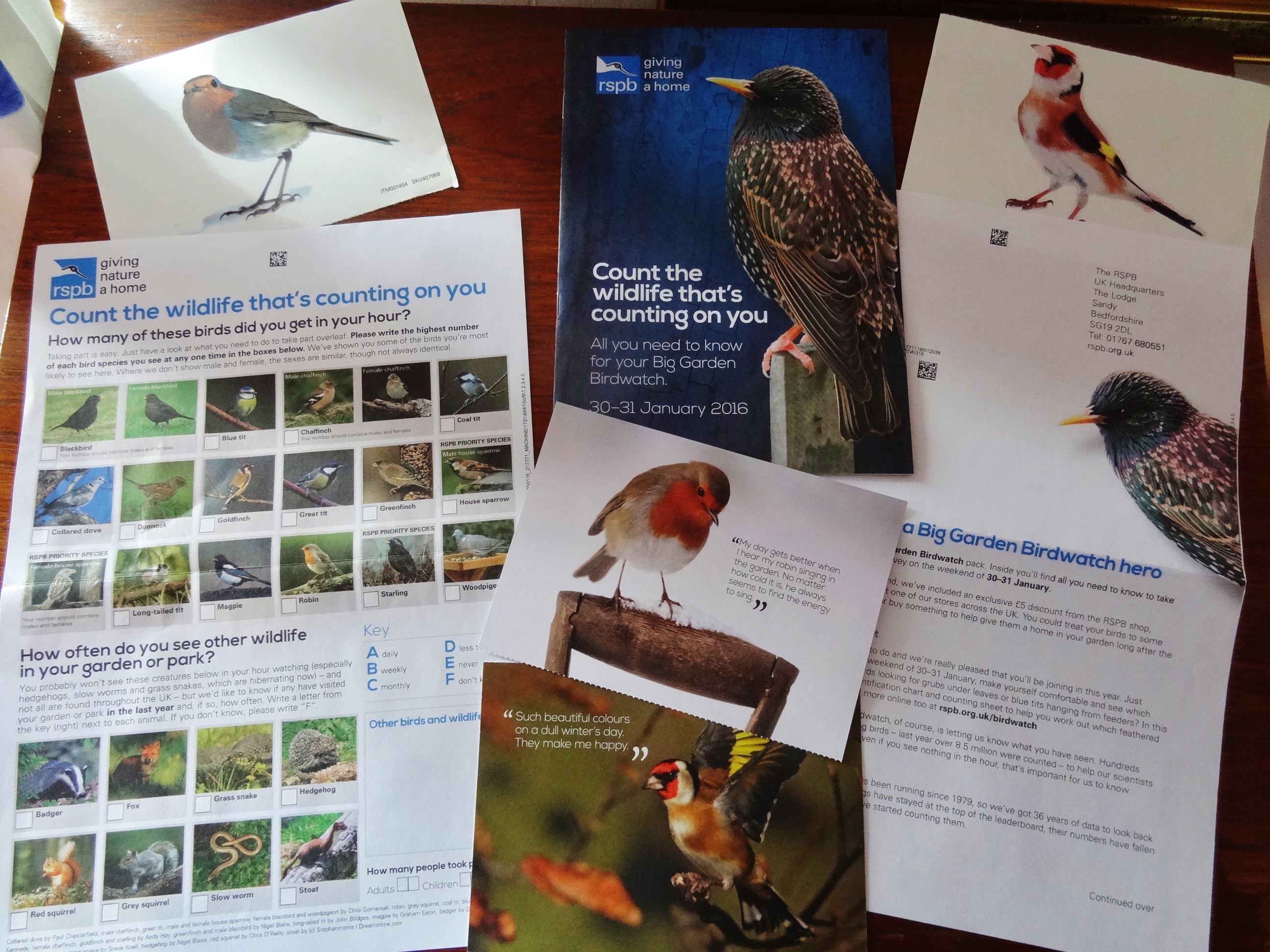 1 - RSPB Pack