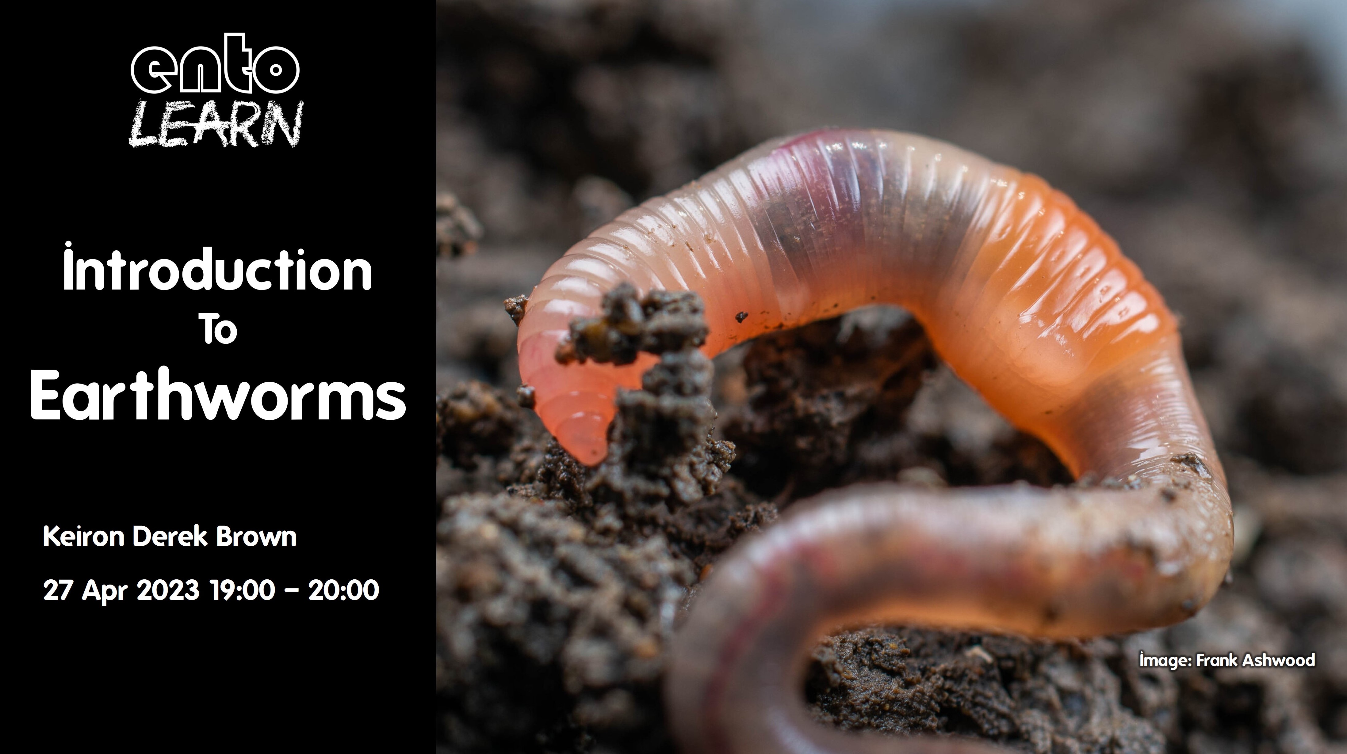 Spring 2023: Earthworm Courses & Events – Biological Recording