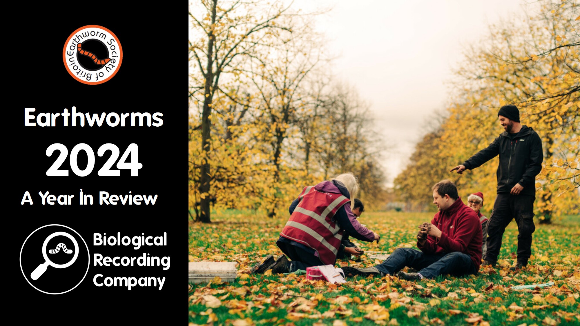 Biological Recording – Providing biological recording guidance ...