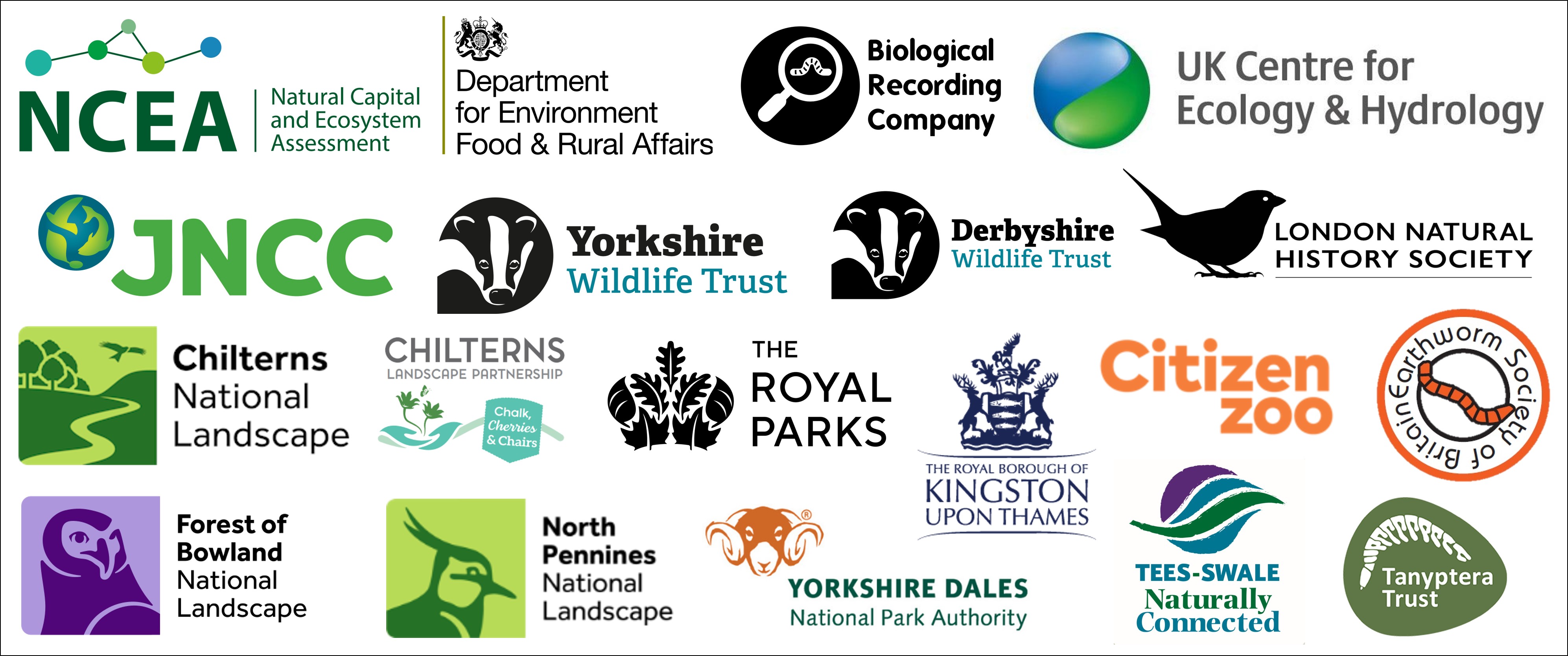 Earthworm Image Recognition Project – Biological Recording