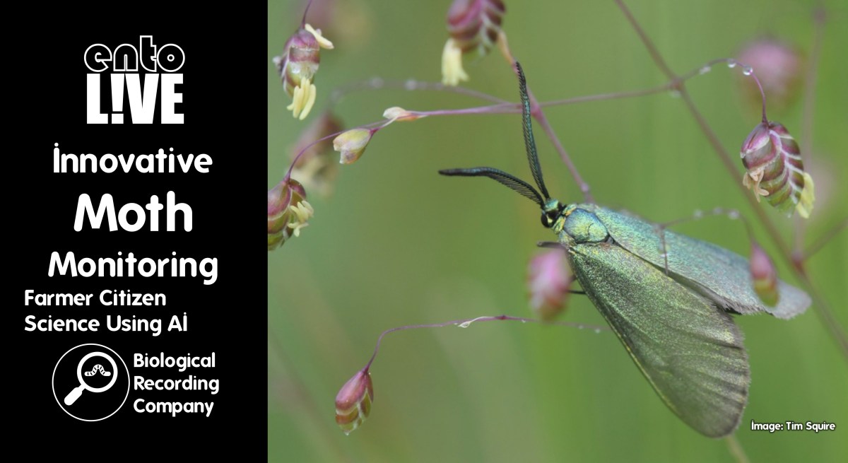Innovative Moth Monitoring: Farmer Citizen Science Using&nbsp;AI