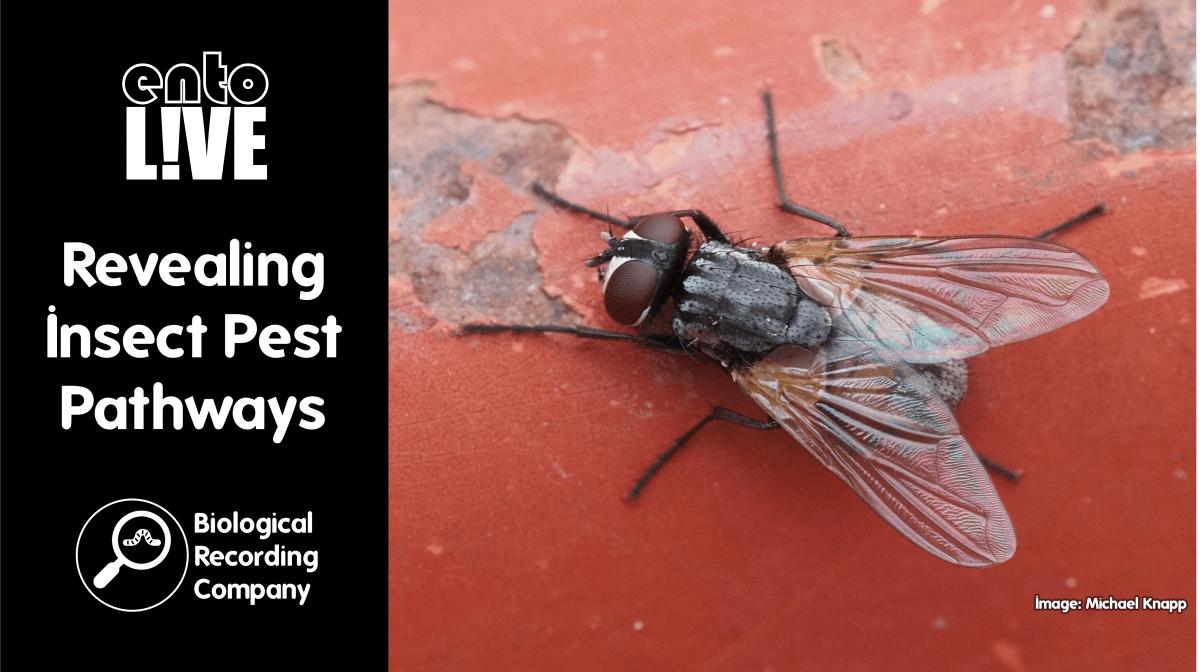 Revealing Insect Pest&nbsp;Pathways