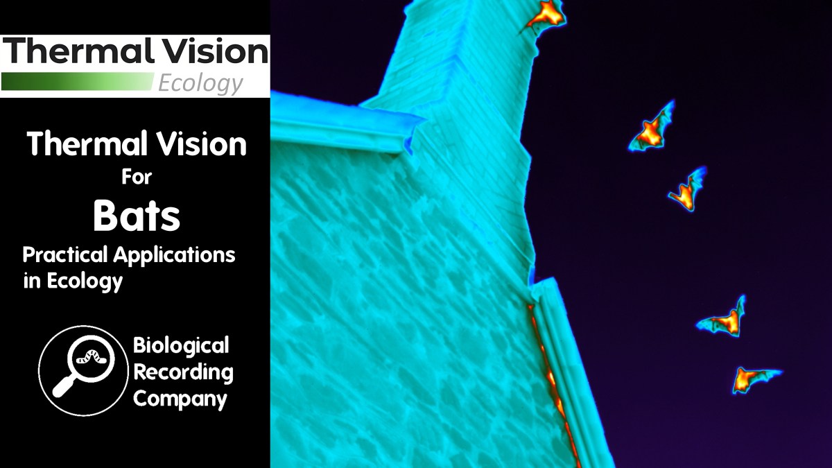 Thermal Vision for Bats: Practical Applications in&nbsp;Ecology